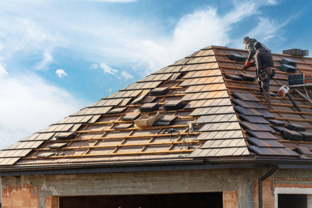 Best Metal Roofing Installation  in Tarkio, MO